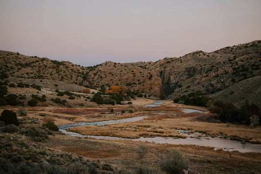 Fly Fishing Freemont Canyon for BIG BROWNS
